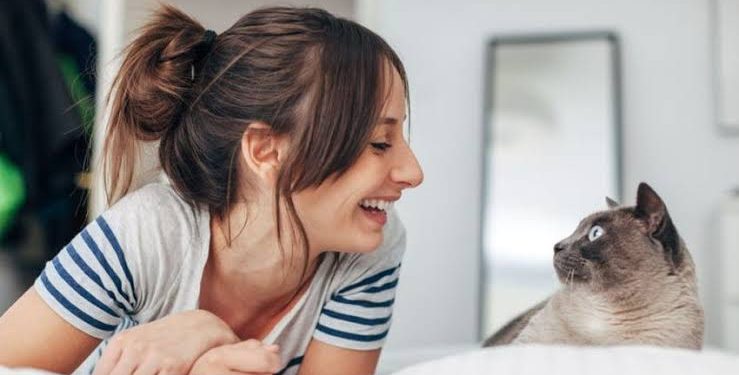 Animal Communicator, Jasa Komunikasi Hewan yang Sedang Diminati