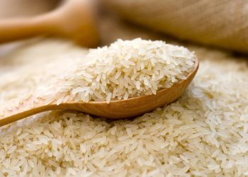 Dunia Terancam Kelaparan, Produsen Beras Nomer 1 India Stop Ekspor