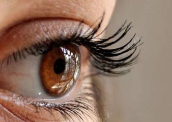 Mata Juga Butuh Olahraga, Ini Caranya!