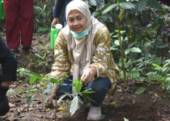 Peringati Hari Lingkungan Hidup Sedunia 2024, Klaster Filantropi Lingkungan Hidup dan Konservasi Tanam Pohon Serentak di 18 Provinsi di Indonesia