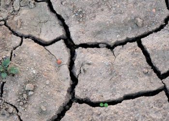 Bencana Iklim Itu Nyata, Masalah Pangan Masa Depan Akan Terjadi, “Ngeri, Kita Harus Hati-Hati”