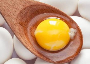 Inilah Kandungan Gizi pada Kuning Telur dan Manfaatnya untuk Kesehatan
