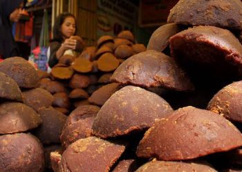 Kandungan Nutrisi pada Gula Aren yang Belum Banyak Diketahui