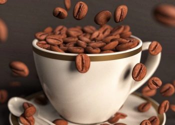 Setiap Jenis Punya Cara Sendiri, Berapa Takaran Kopi 1 Gelas? Apa Langkah Paling Standar dalam Menyeduh Kopi?