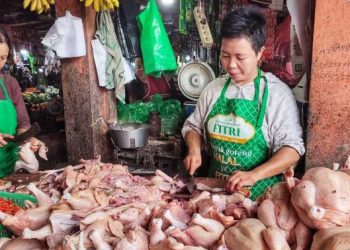 Pantau Terus Bawang dan Daging Ayam, Daerah Perlu Waspadai Kenaikan Harga Pangan Jelang Nataru