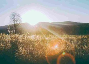 5 Menit Menulis di Pagi Hari Bisa Bikin Hidup Lebih Tenang