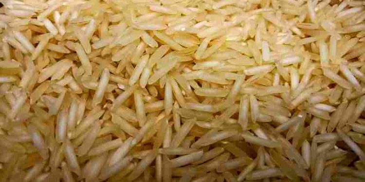 Tak Hanya Lezat, Ini Manfaat Beras Briyani untuk Kesehatan Tubuh