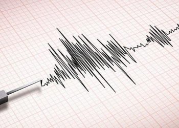 Gempa 5,6 Magnitudo Guncang NTT Siang Ini