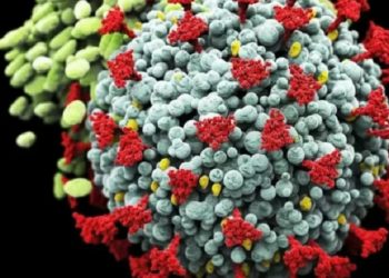 Indonesia Waspadai Covid-19 Varian Omicron, Kenali 5 Gejalanya