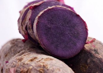 Ubi Jalar Ungu Ternyata Kaya Nutrisi yang Bisa Bikin Awet Muda