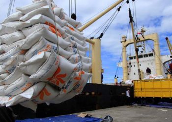 Presiden: Indonesia Akan Tetap Impor Beras