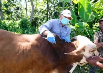 Kementan Cegah Penyebaran Kasus Antraks Di Yogyakarta