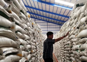Malaysia Mulai Turunkan Harga Jual Beras Impor Atasi Kelangkaan