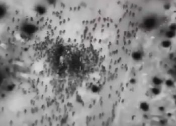 Lagi, Militer Israel Tembak Mati 29 Warga Palestina yang Menunggu Bantuan di Jalur Gaza