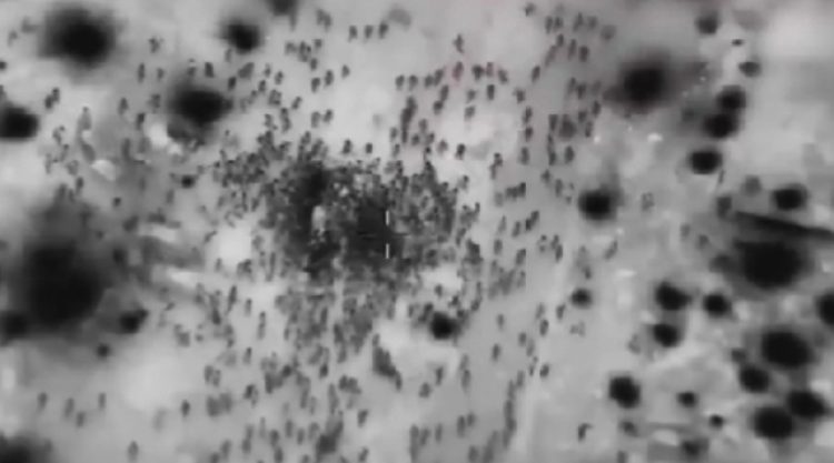 Lagi, Militer Israel Tembak Mati 29 Warga Palestina yang Menunggu Bantuan di Jalur Gaza