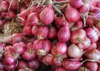 Harga Bawang Merah Naik Usai Lebaran, Ternyata Ini Biang Keroknya