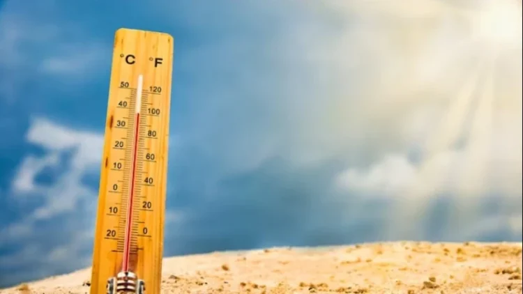 Gelombang Panas Menghantam Asia: Ancaman Nyata Perubahan Iklim