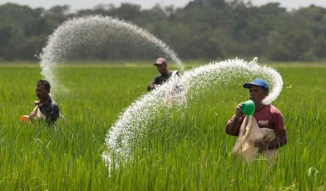 Mentan Ajak Petani Tebus Pupuk Subsidi yang Berlimpah