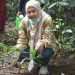 Peringati Hari Lingkungan Hidup Sedunia 2024, Klaster Filantropi Lingkungan Hidup dan Konservasi Tanam Pohon Serentak di 18 Provinsi di Indonesia