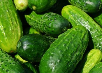 Apa Saja Manfaat Timun untuk Kesehatan, Bagaimana Cara Mengonsumsinya?