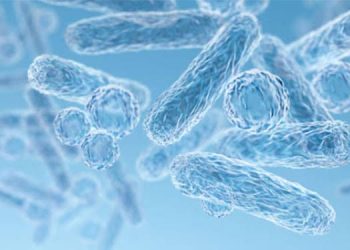 Sudah 1.000 Kasus Terinfeksi, Heboh Wabah Bakteri Pemakan Daging STSS di Jepang