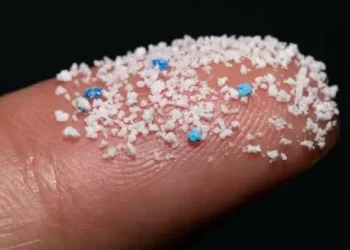 Mikroplastik Bisa Masuk ke Otak Manusia, Studi Terbaru Ini ungkap Beberapa Faktanya