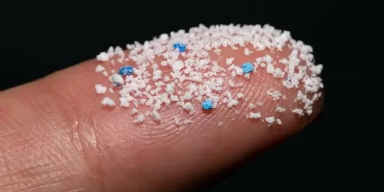 Mikroplastik Bisa Masuk ke Otak Manusia, Studi Terbaru Ini ungkap Beberapa Faktanya