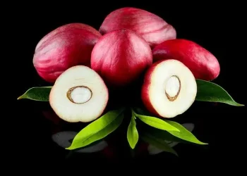 Simak 5 Manfaat Buah Mahkota Dewa untuk Kesehatan Lengkap dengan Cara Mengonsumsinya