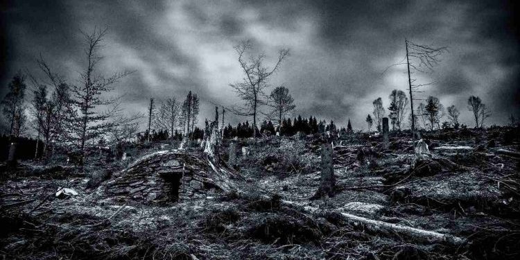 Waspada Ancaman Bencana Hidrometeorologi, 2025 Potensi Bencana Terjadi Sepanjang Tahun