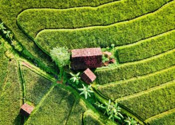 5 Tips Menabung Supaya Kamu Tetap Bisa Travelling ke Tempat yang Diinginkan