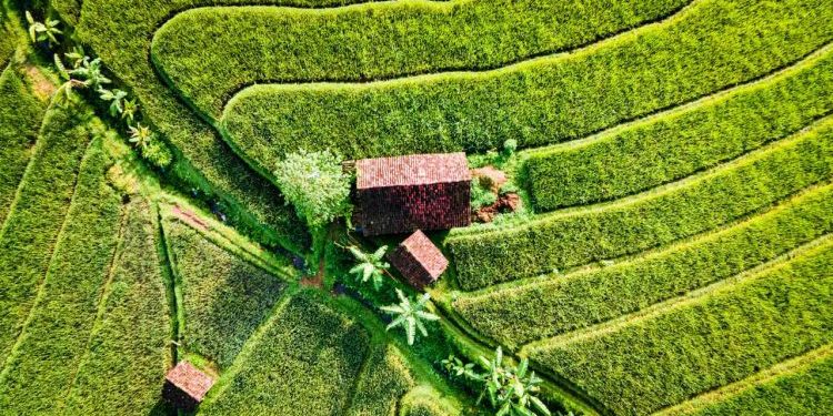 5 Tips Menabung Supaya Kamu Tetap Bisa Travelling ke Tempat yang Diinginkan