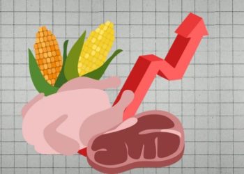 Daerah Diminta Waspada Lonjakan Inflasi Pangan Jelang Ramadan dan Lebaran Idulfitri