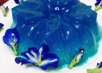Resep Olahan Bunga Telang Jadi Agar Agar Menyehatkan