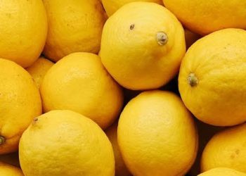 Dari Wajah hingga Kuku, Ini Keajaiban Lemon untuk Perawatan Diri