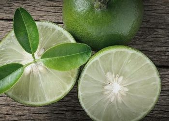 Segudang Manfaat Jeruk Nipis untuk Kesehatan