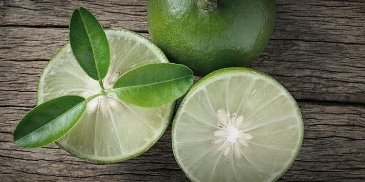 Segudang Manfaat Jeruk Nipis untuk Kesehatan