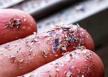 Bumi Darurat Plastik: Ancaman yang Tak Bisa Lagi Diabaikan