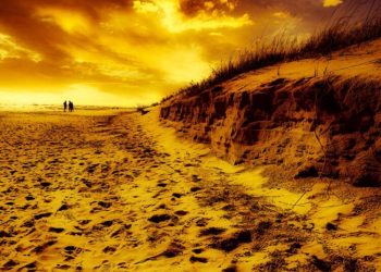 Hampir 600 Orang Diperkirakan Meninggal Akibat Gelombang Panas di Inggris dan Wales