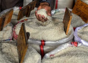 Harga Beras dan Ayam Naik, Berikut Penjelasanya