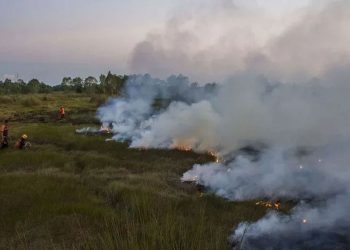 BMKG Catat 143 Titik Panas Terpantau di Kalimantan, Tertinggi Nasional