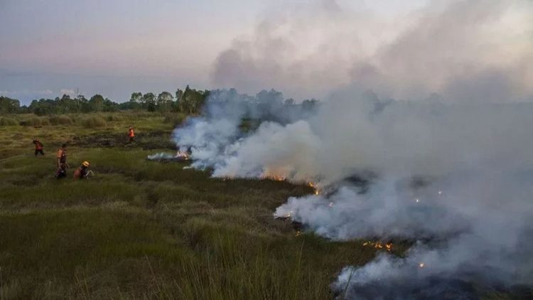BMKG Catat 143 Titik Panas Terpantau di Kalimantan, Tertinggi Nasional