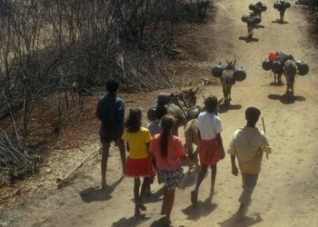 Kekeringan Global Dorong Puluhan Juta Orang ke Ambang Kelaparan