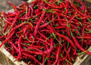 Bapanas: Harga Pangan Awal Agustus 2025 Didominasi Kenaikan