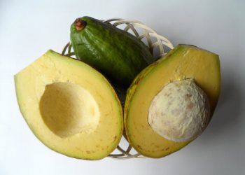 Benarkah Mengonsumsi Buah Alpukat Bisa Meningkatkan IQ?