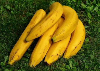 Nikmat Tapi Bisa Berisiko, Hati-Hati Jika Terlalu Sering Makan Pisang