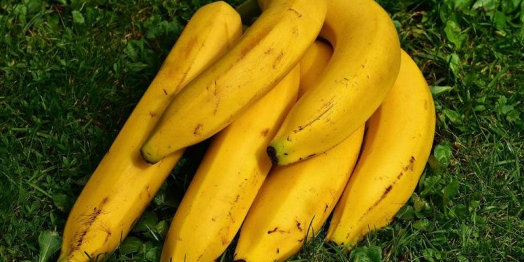 Nikmat Tapi Bisa Berisiko, Hati-Hati Jika Terlalu Sering Makan Pisang