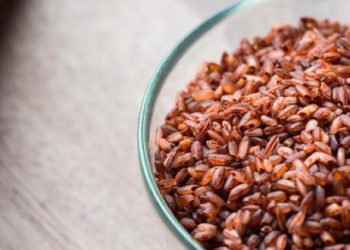 Angkak dan Beras Merah: Kenali Perbedaan dan Khasiatnya