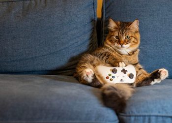 Melatih Otak dengan Game, Seru tapi Bermanfaat