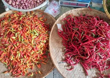 Harga Pangan Turun, Bapanas Catat Penurunan Cabai, Bawang, hingga Beras