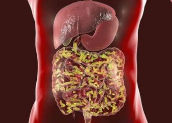 Seamoss Gel, Tren Superfood yang Kian Digemari untuk Kesehatan Tubuh